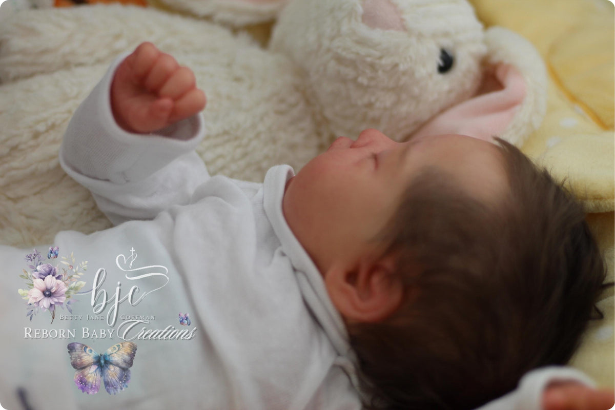 Felicia Reborn Toddler Doll by Priscila Lopez (26 inches tall)