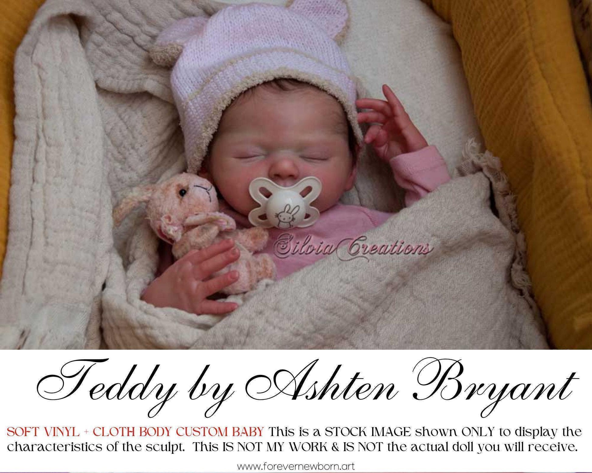 Teddy by Ashten Bryant (19"+Full Limbs)