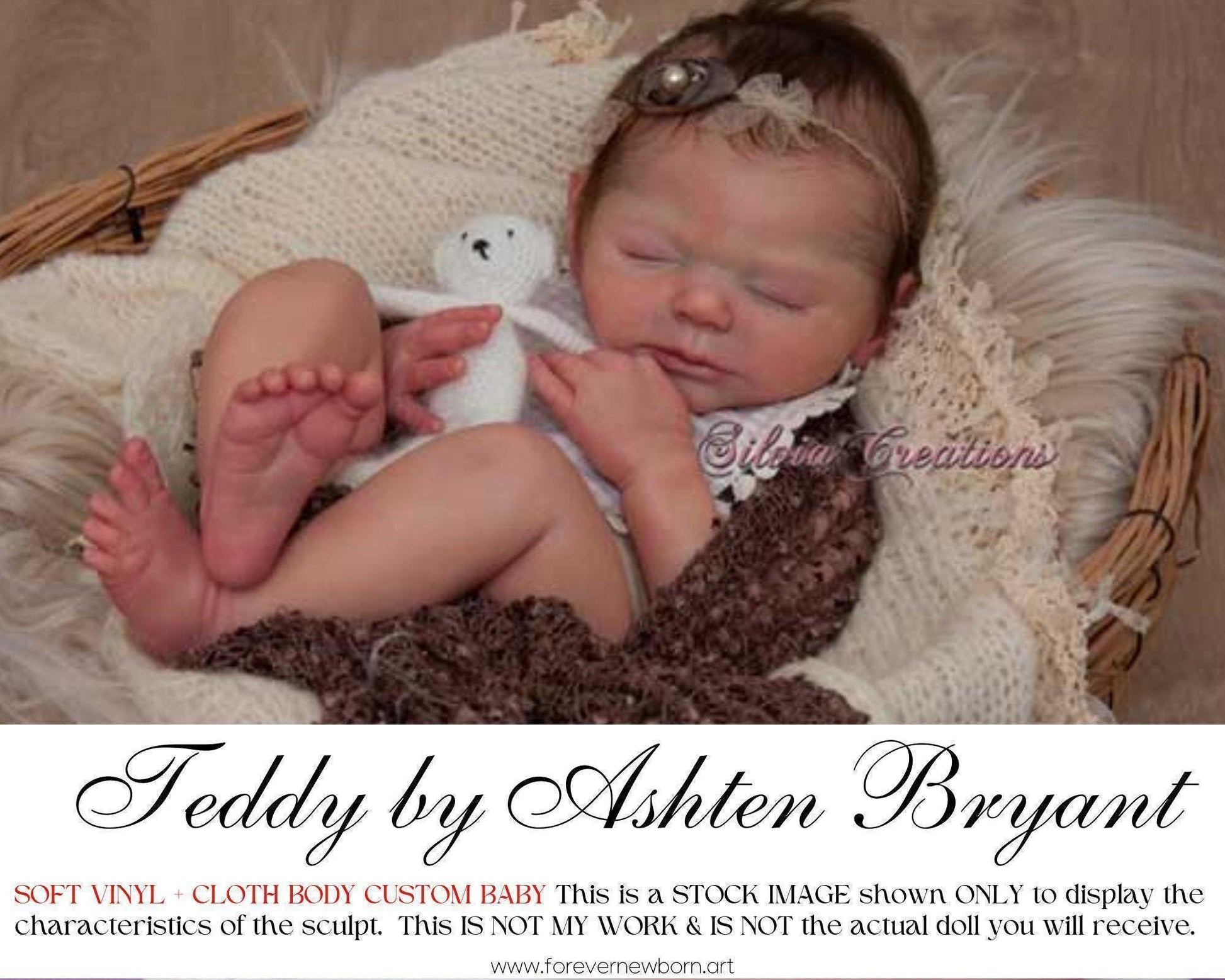 Teddy by Ashten Bryant (19"+Full Limbs)