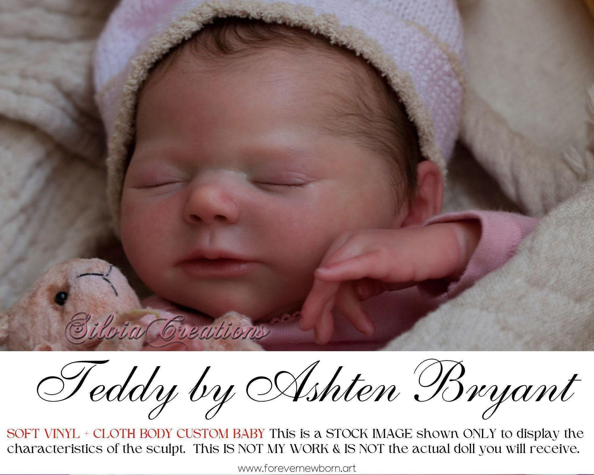 Teddy by Ashten Bryant (19"+Full Limbs)