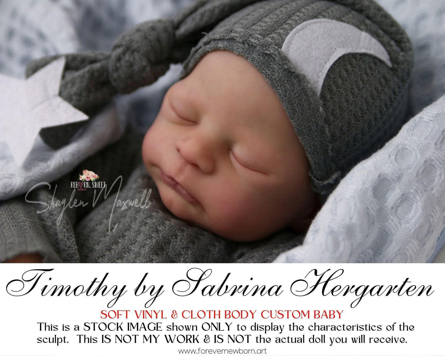 Timothy by Sabrina Hergarten (21" Full Limbs) LE999