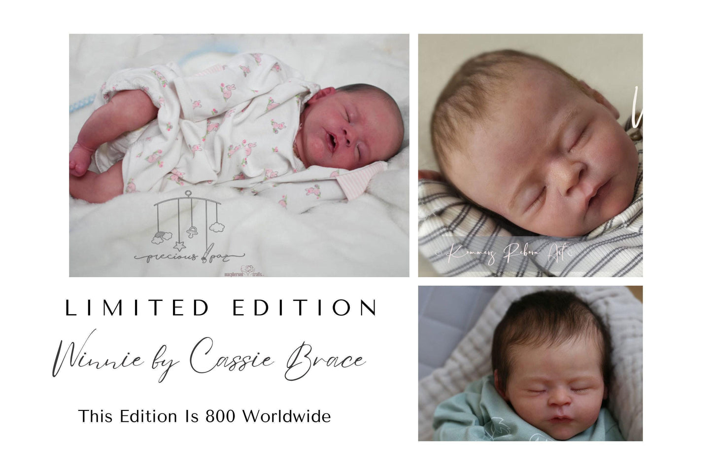 Winnie by Cassie Brace 19" Full Limbs