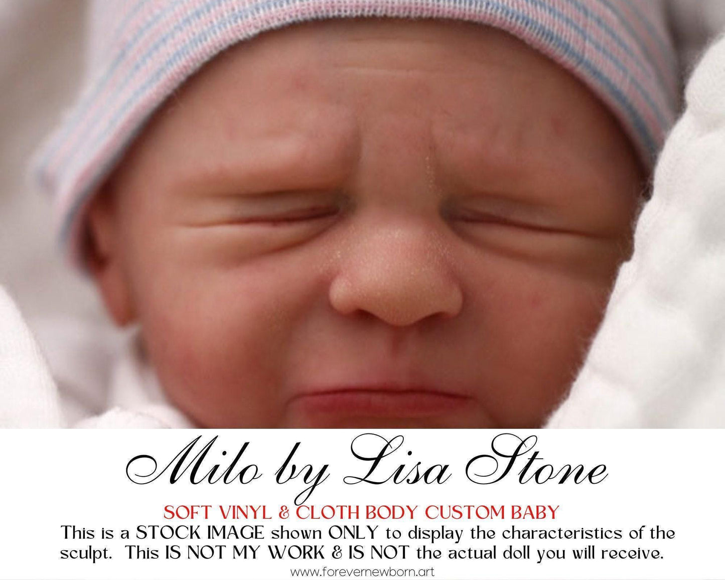 Milo by Lisa Stone (16"+Full Limbs)