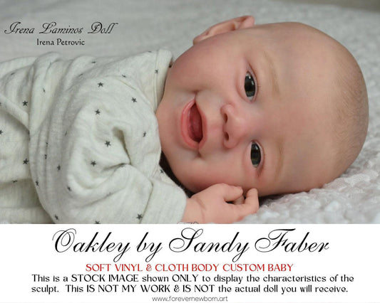 Oakley By Sandy Faber (17"+Full Limbs)