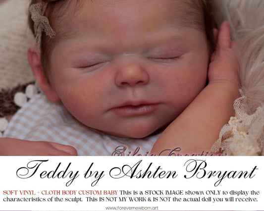 Teddy by Ashten Bryant (19"+Full Limbs)