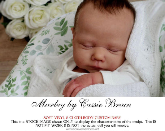 Marley by Cassie Brace (20"+Full Limbs)