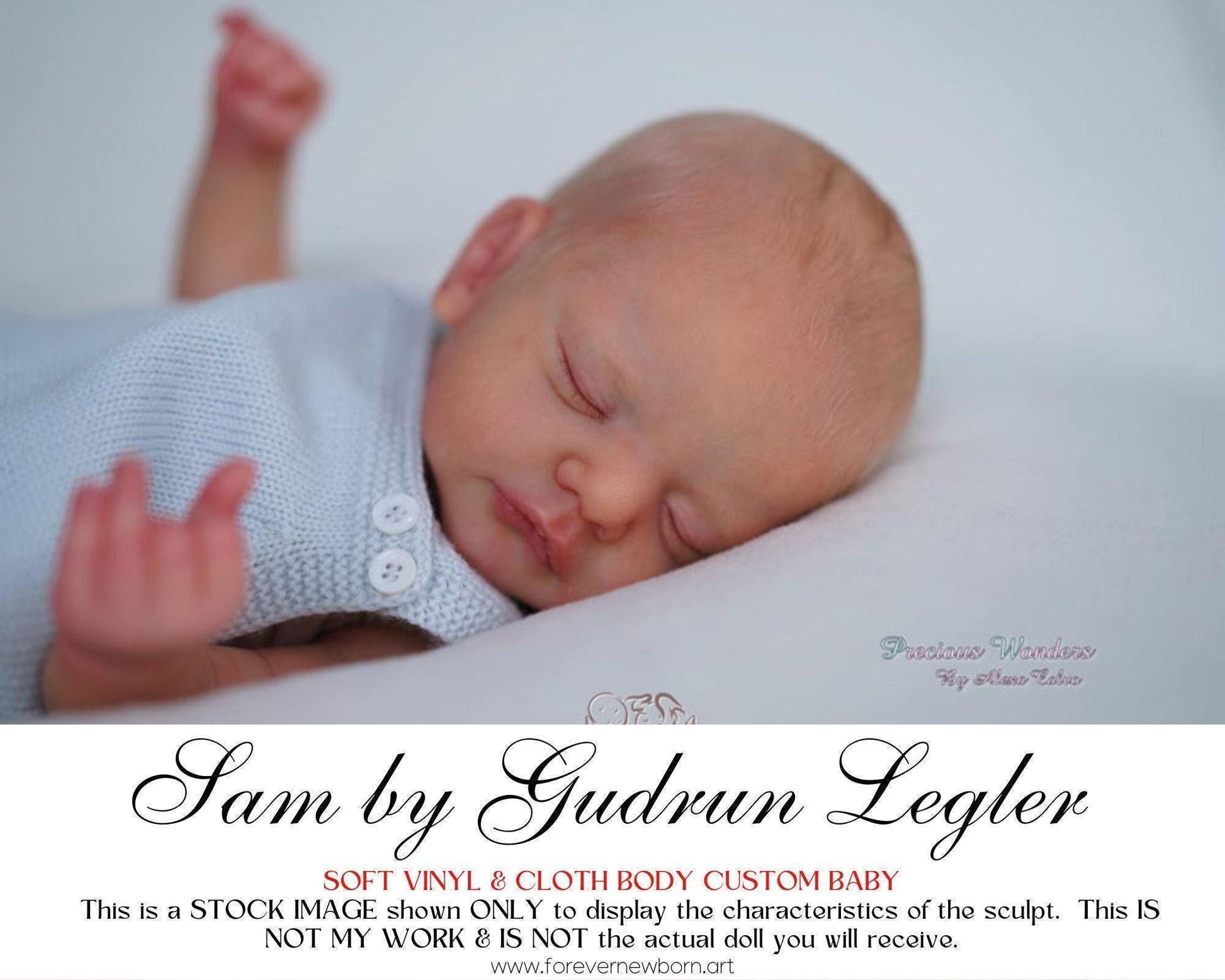 Sam by Gudrun Legler (19"+Full Limbs)