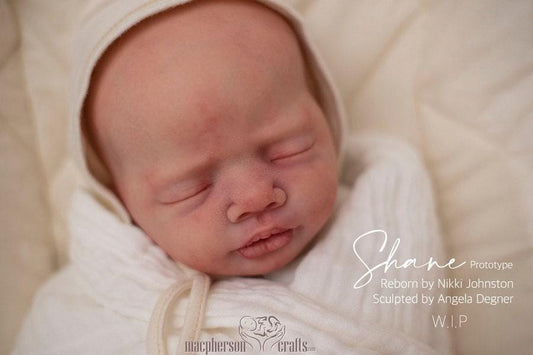 Shane by Angela Degner (20" Full Limbs)