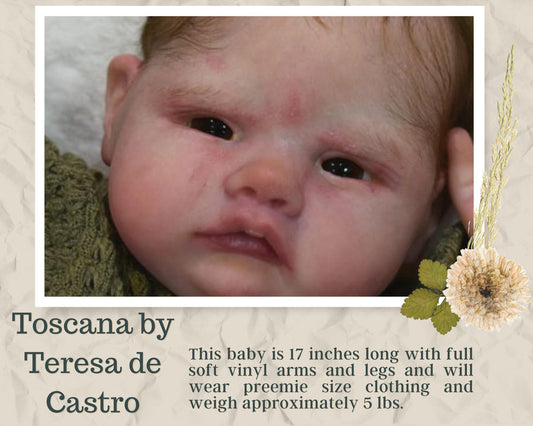 Tuscany by Teresa de Castro (17"+Full Limbs)