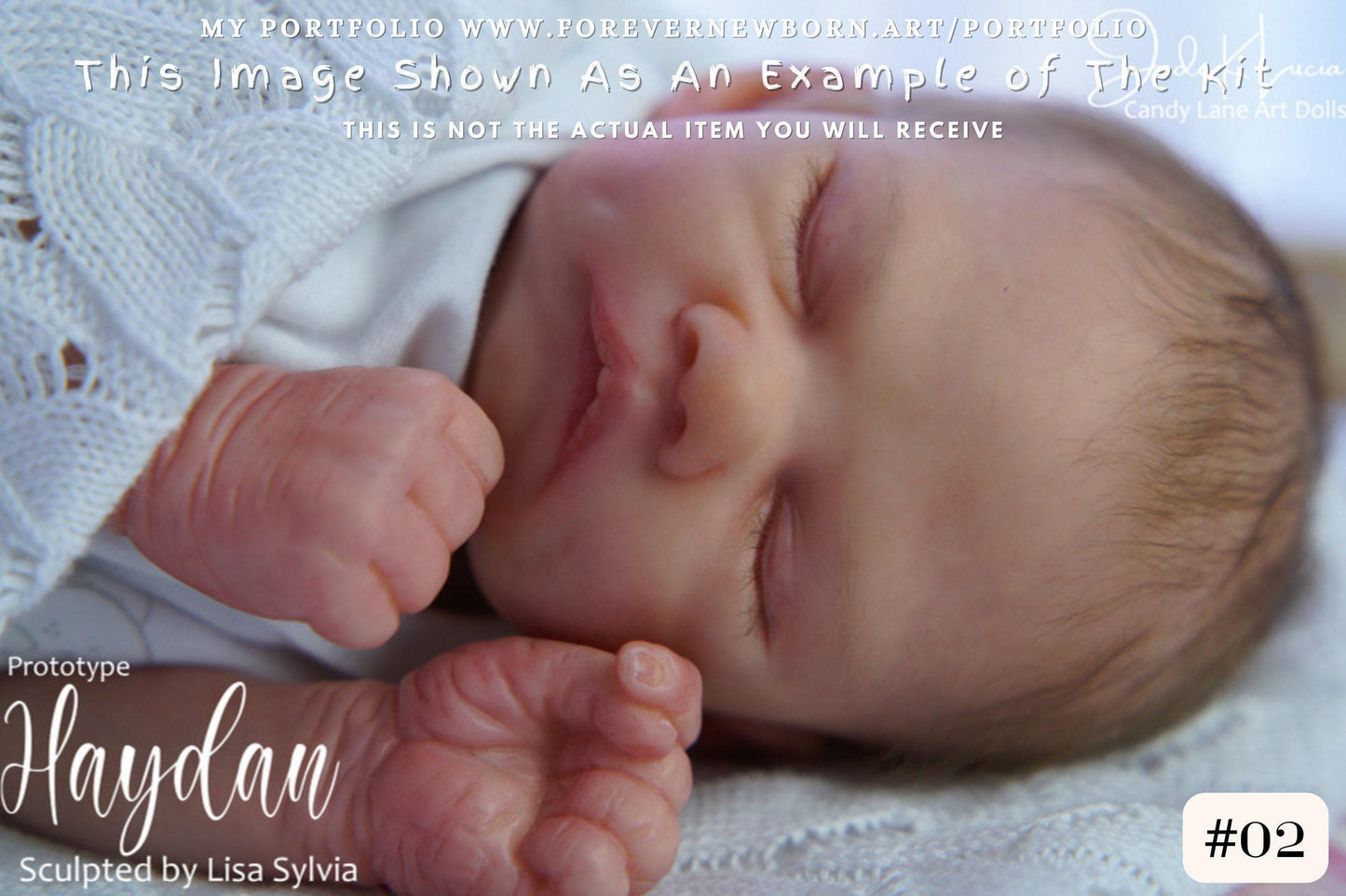 Haydan by Lisa Sylvia (16"+Full Limbs)