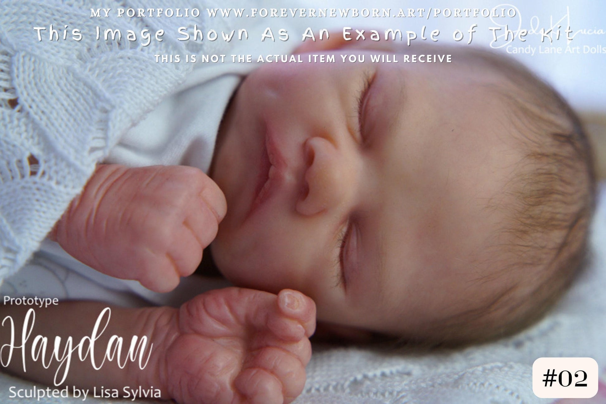 Haydan by Lisa Sylvia (16"+Full Limbs)