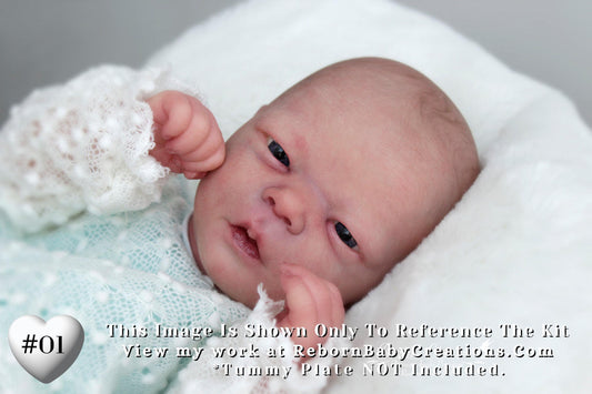 Realborn® Darren Awake (18"+Full Limbs)