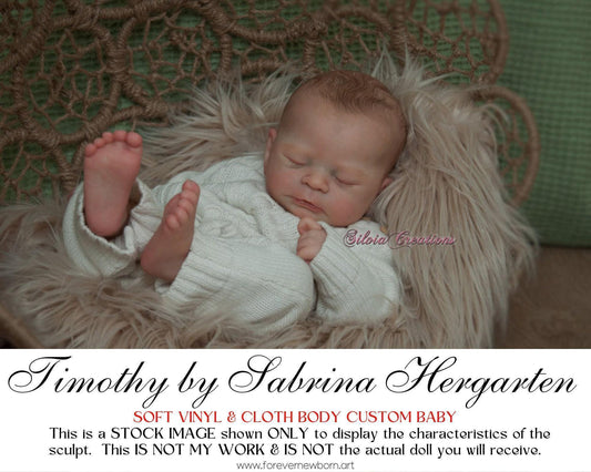 Timothy by Sabrina Hergarten (21" Full Limbs) LE999
