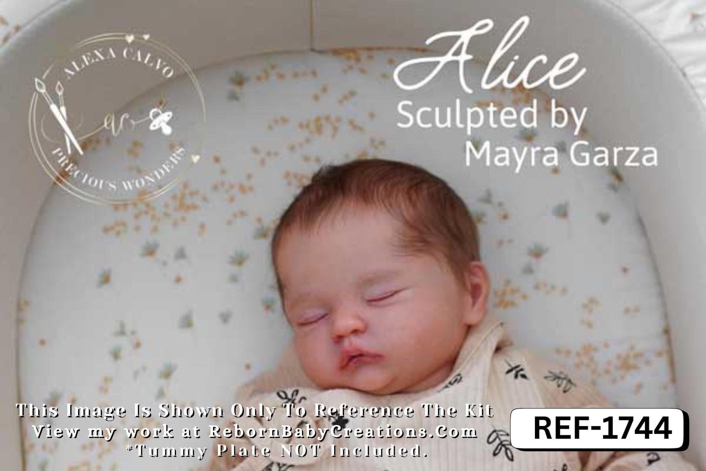 Alice by Mayra Garza (19"+ Full Limbs)