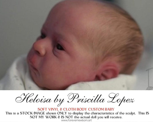 LE Heloisa by Priscilla Lopez (18"+Full Limbs)