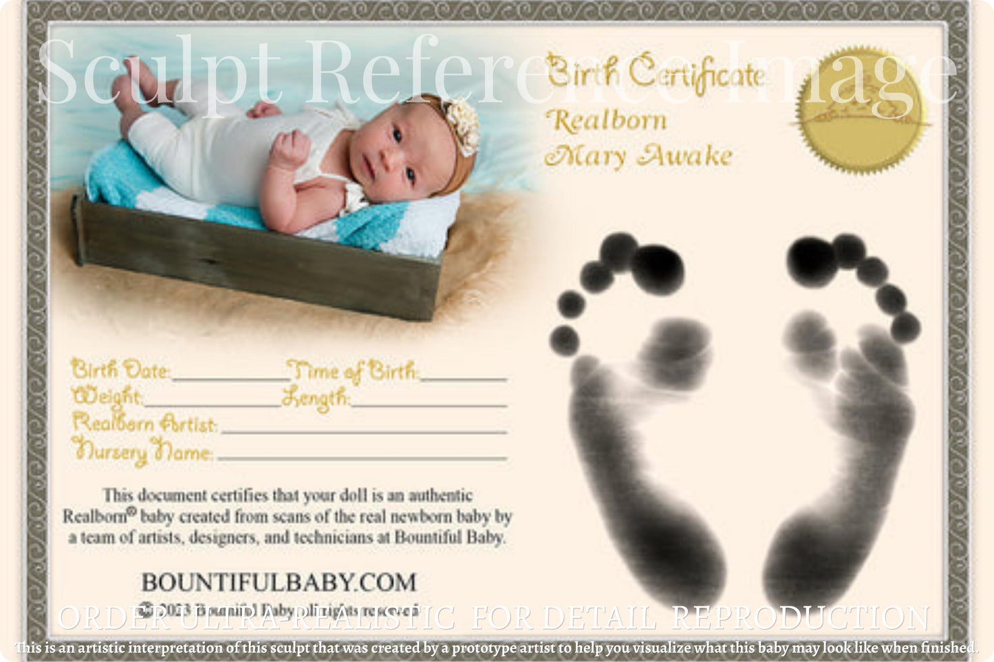 Realborn® Mary Awake (20"+Full Limbs)