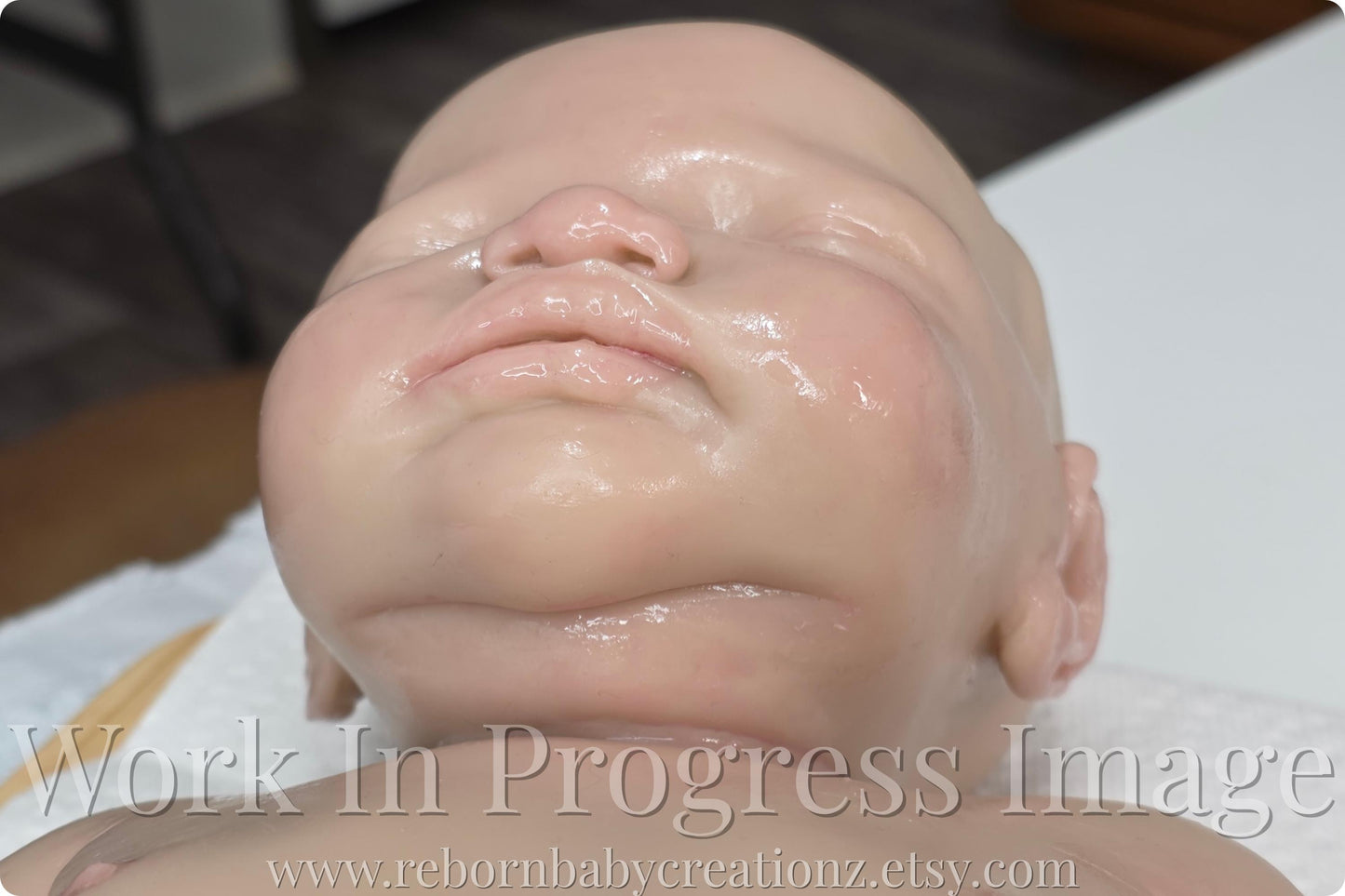 Full Body Silicone Baby Avery by Shy Mrofka Girl or Boy (21 inches, 8lbs 14oz)