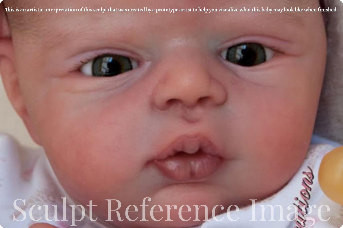 Reborn Baby Swan by Nathalie Moiselet D'Ostuni *Limited Edition (20"+Full Limbs)