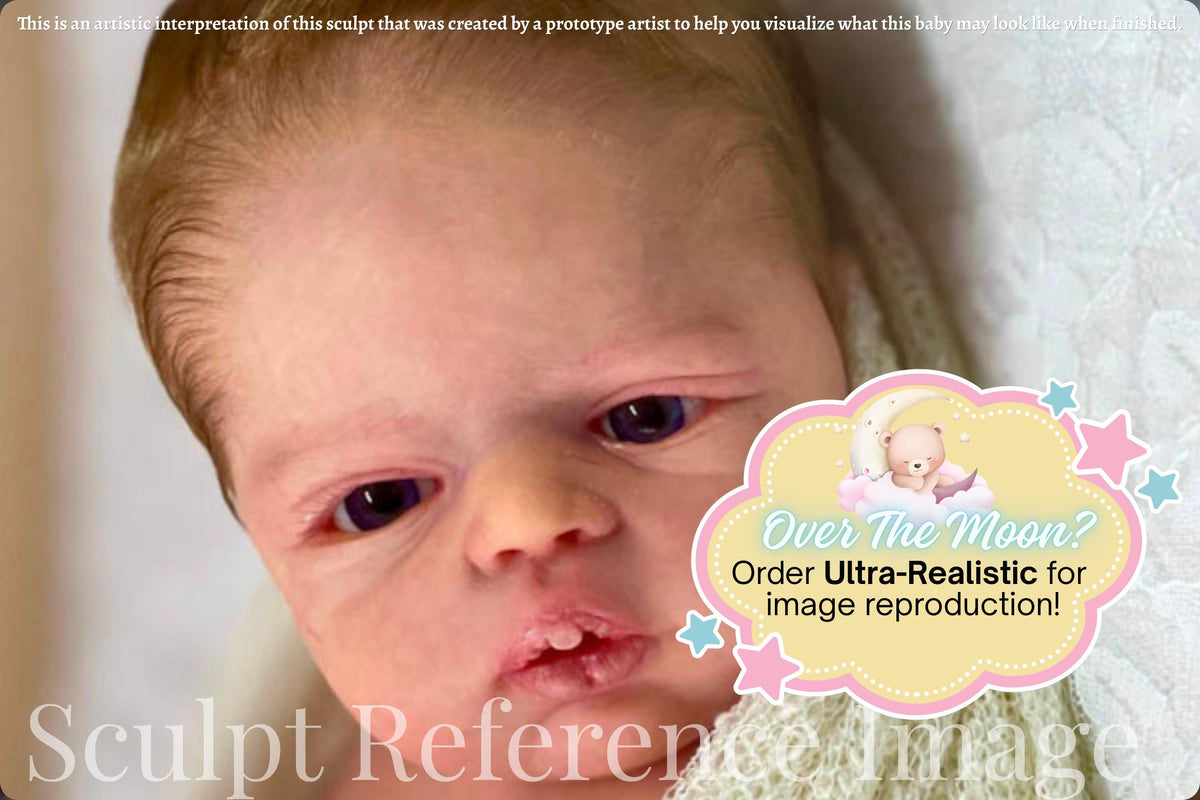 Reborn Baby Swan by Nathalie Moiselet D'Ostuni *Limited Edition (20"+Full Limbs)