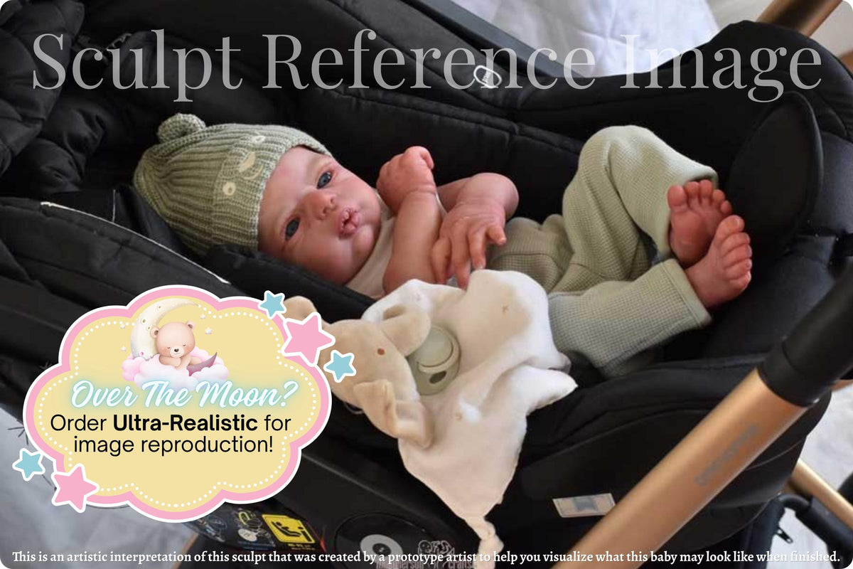 Reborn Baby Swan by Nathalie Moiselet D'Ostuni *Limited Edition (20"+Full Limbs)